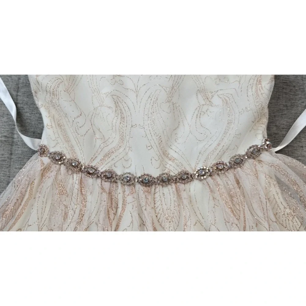Rare Editions Girl's Dress Lined Tulle Skirt Jeweled Waist Holiday Nutcracker 12